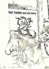 Motiv 23